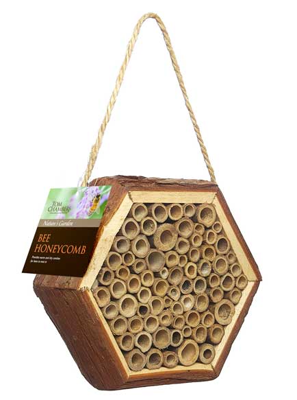Tom Chambers Bee Honeycomb