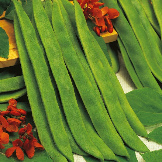 Kings Seeds Runner Bean Butler