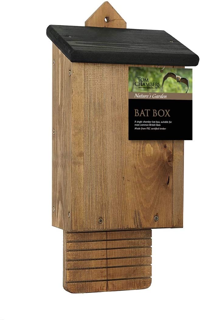 Tom Chambers Classic Bat Box