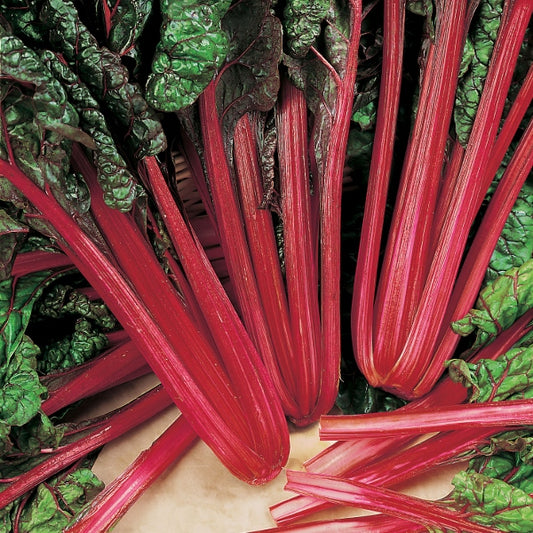 Suffolk Herbs ORGANIC SEEDS Leaf Beet Rhubarb Chard