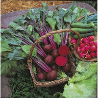 Kings Seeds Beetroot Boltardy