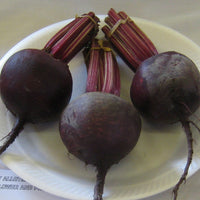 Kings Seeds Beetroot Red Ace F1