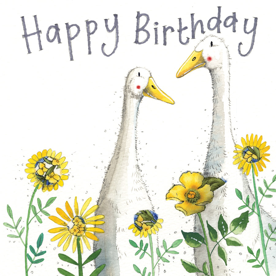 Birthday Ducks Birthday Card