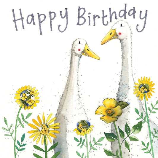 Birthday Ducks Birthday Card