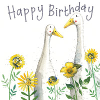 Birthday Ducks Birthday Card