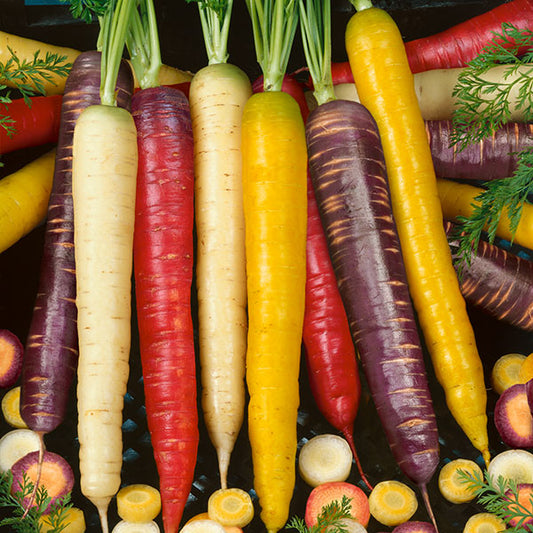 Kings Seeds Carrot Mixed