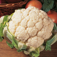 Kings Seeds Cauliflower Aalsmeer RHS AGM