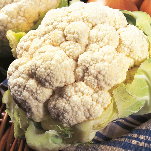 Kings Seeds Cauliflower All The Year Round