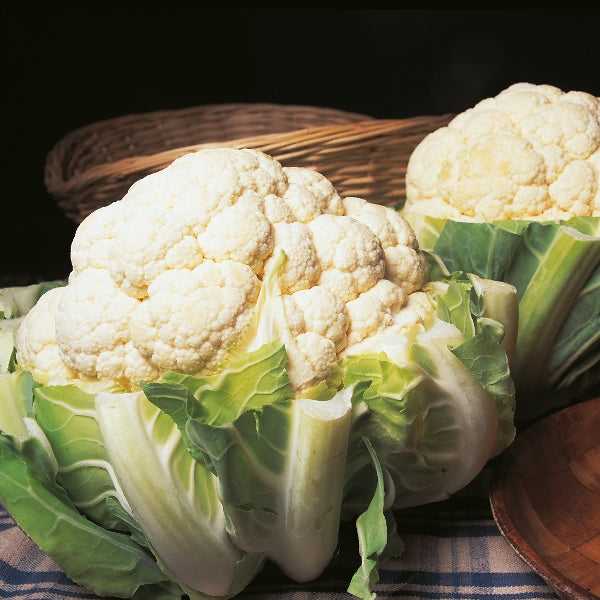 Kings Seeds Cauliflower Autumn Giant