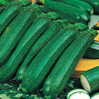 Kings Seeds Courgette Ambassador F1