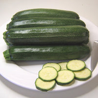 Kings Seeds Courgette Defender F1