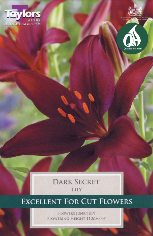 Lily Dark Secret