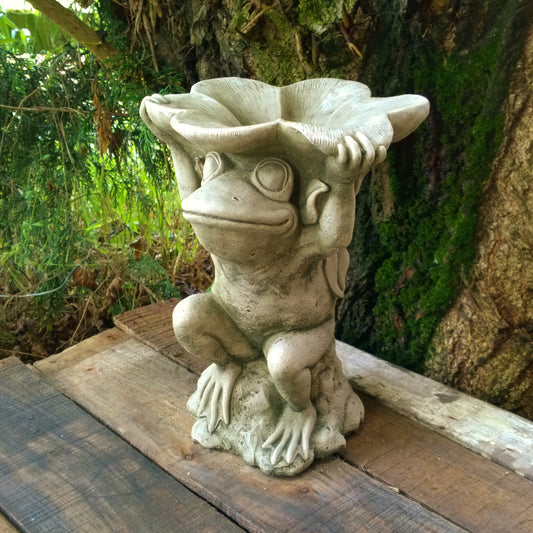 Frog Dish