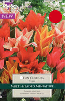 Tulip Fun Colours