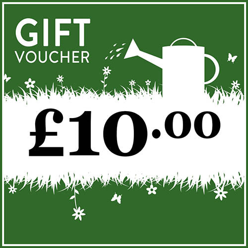 Pengelly £10 Gift voucher