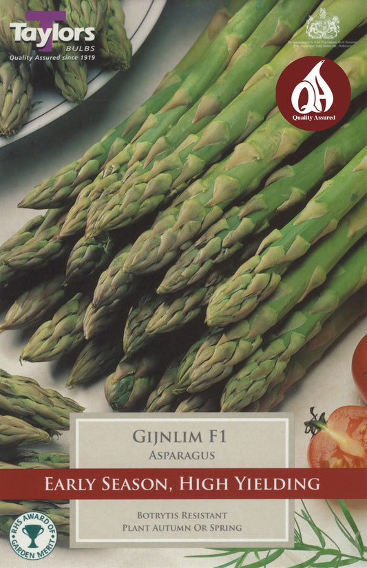 Asparagus Gijnlim