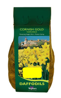 Narcissus Cornish Gold (1.5Kg Net)