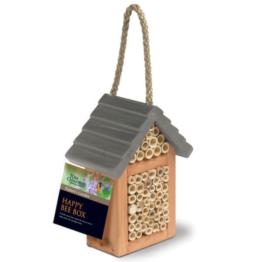 Tom Chambers Happy Bee Box