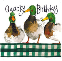 Happy Mallards Birthday Card