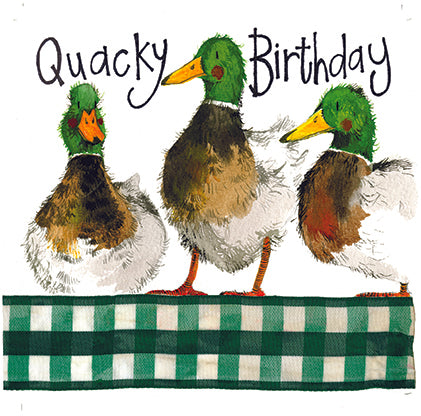 Happy Mallards Birthday Card
