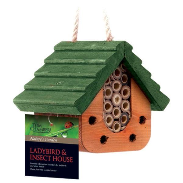 Tom Chambers Ladybird & Insect House