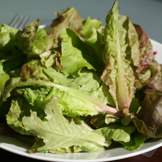 Suffolk Herbs ORGANIC SEEDS Lettuce Mixed