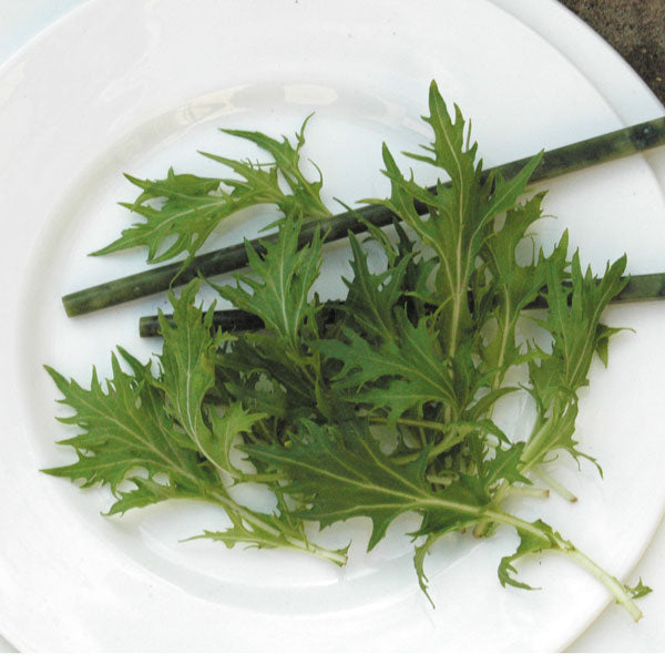 Suffolk Herbs ORGANIC SEEDS Oriental Vegetable Mizuna