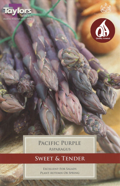 Asparagus Pacific Purple