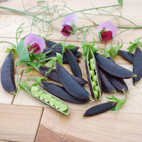 Kings Seeds Pea (Snap) Purple Magnolia Snap