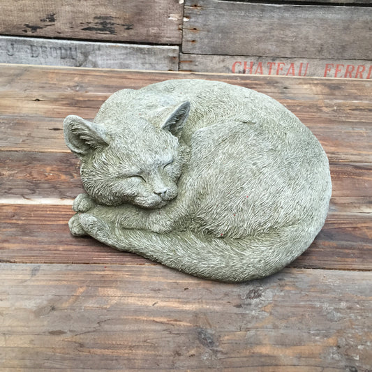 Snoozing Cat