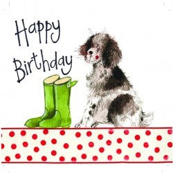 Springer Birthday Card