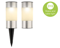 Solar Stake Light