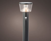 Motion Sensor Solar Stake Light - Small