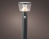 Motion Sensor Solar Stake Light - Small