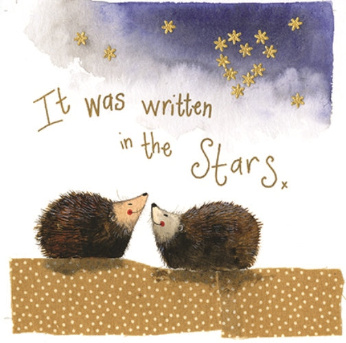 Stargazers Birthday Card
