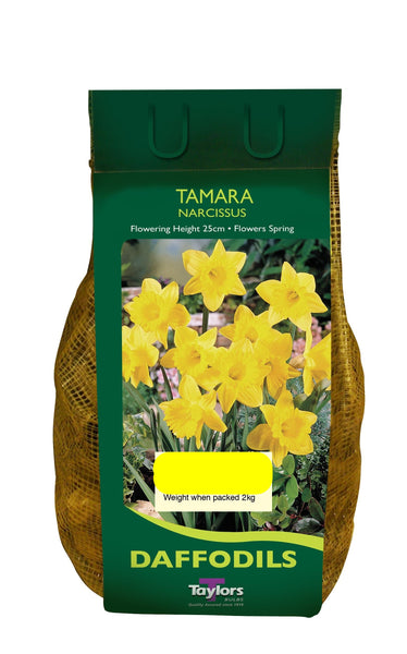 Narcissus Tamara (1.5Kg Net)