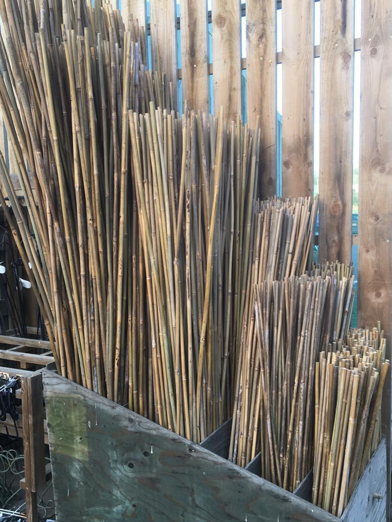 Bamboo Canes 5ft