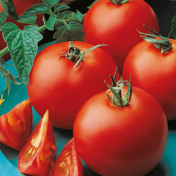 Suffolk Herbs ORGANIC SEEDS Tomato Matina