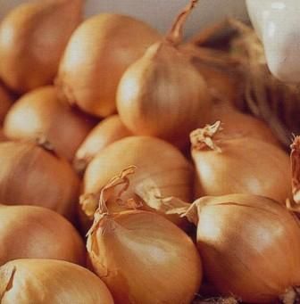 Yellow Moon Shallots